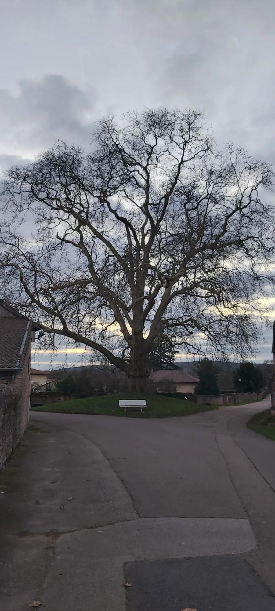 Le Gite Et Puits C'Est Tout Préty Habitación foto